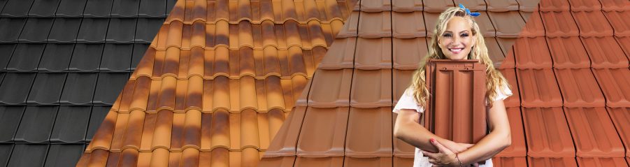 all4roof articles hero images