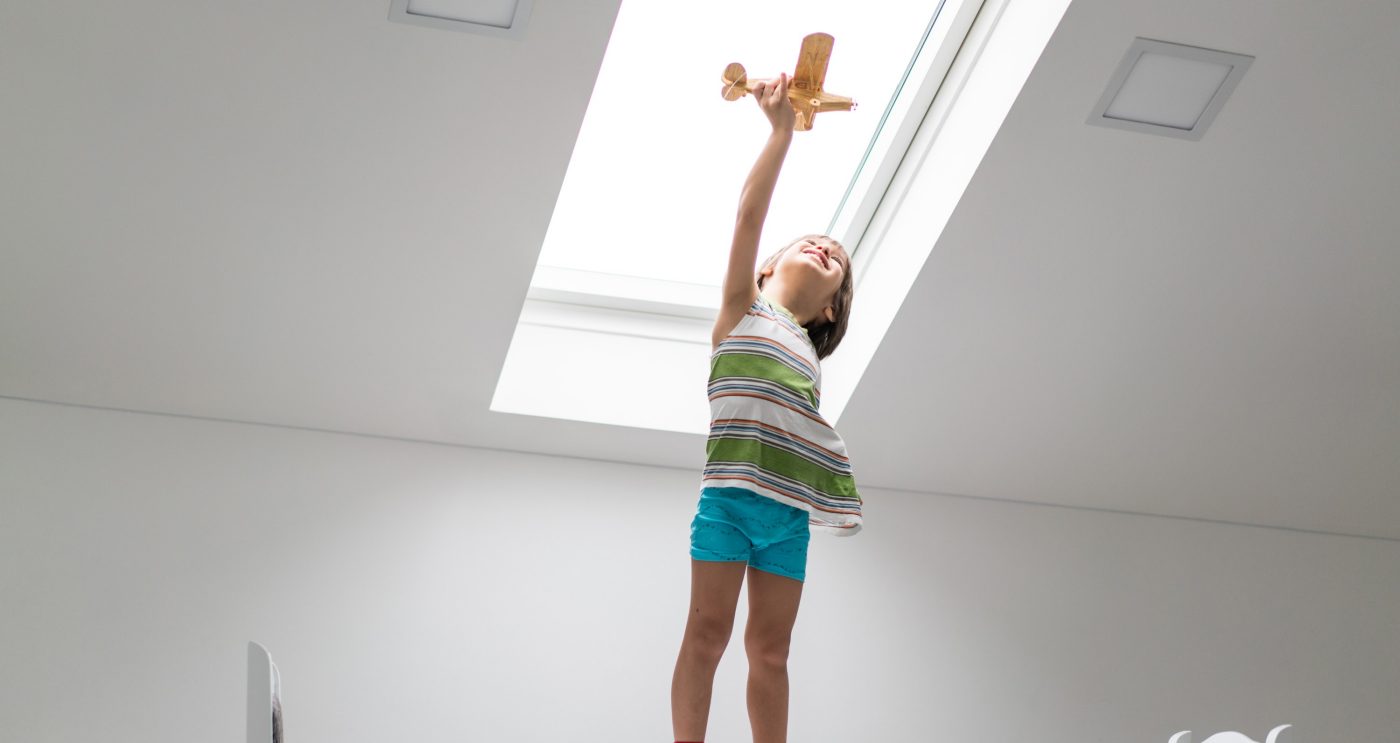 Roof windows