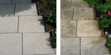 Петна от дърво и листа