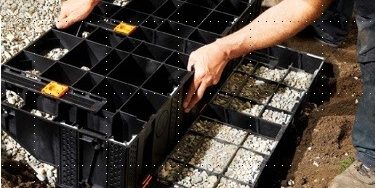 Modulesca полагане  стъпка 3