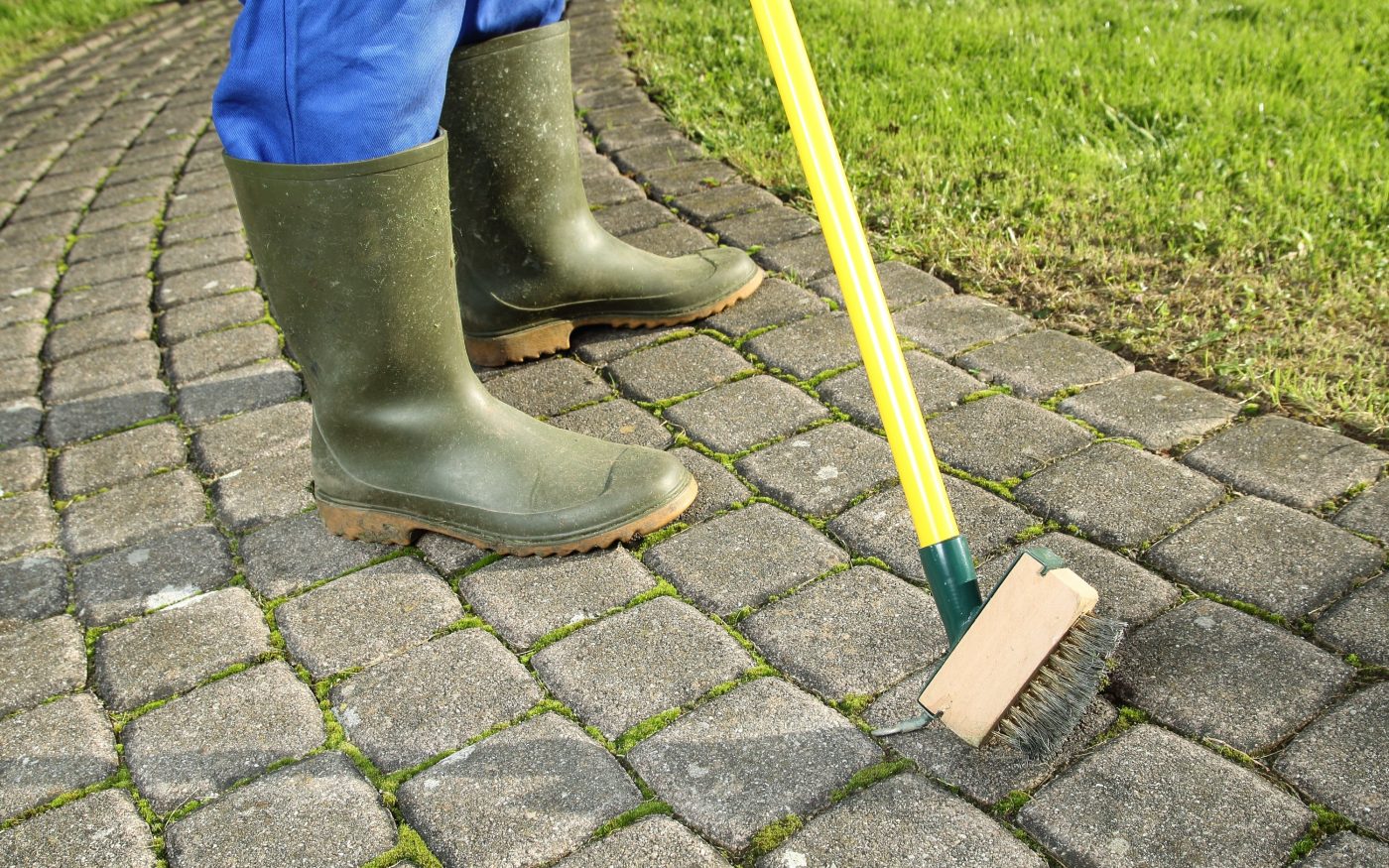 A Gardener  scratching moss out of paving stones