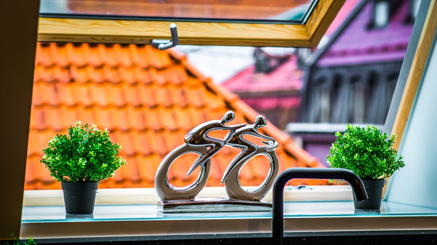 Roof windows