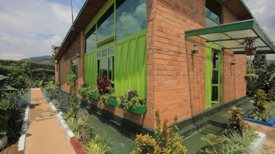 brick award победител