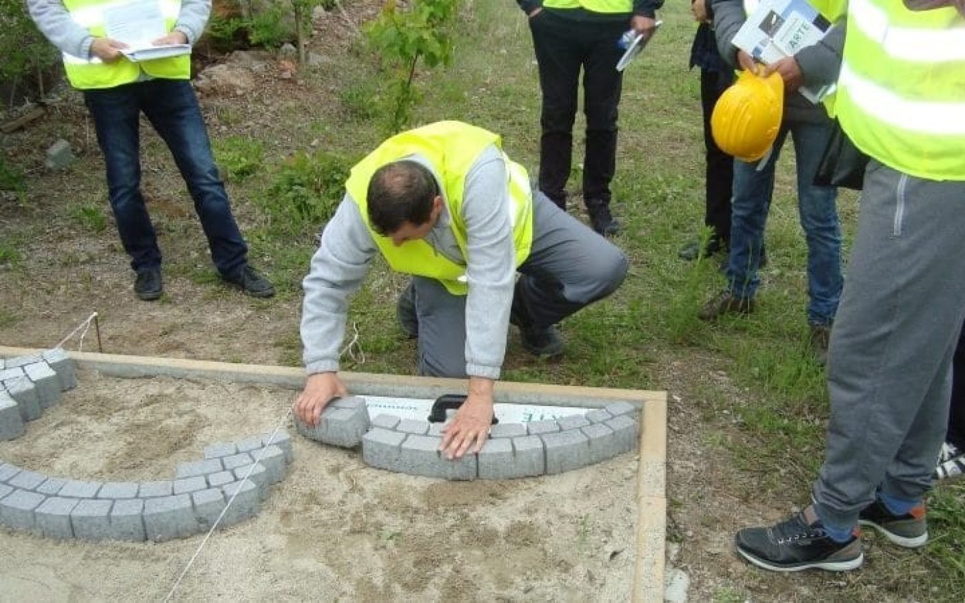 Профи клуб 2019
