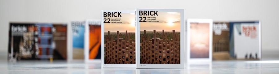 Brick Book 22 Book series in a row