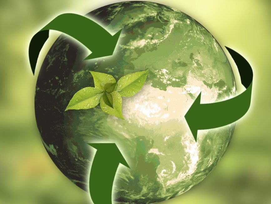 Sustainability
